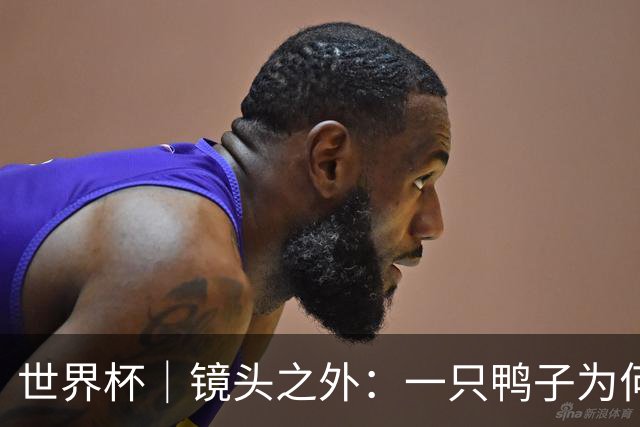 世界杯｜镜头之外：一只鸭子为何火遍世界杯？